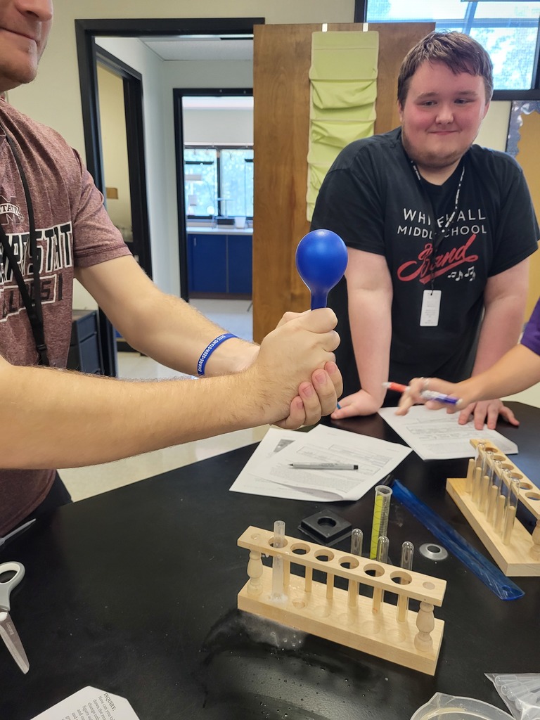 AP Biology students conduct ensyme lab.