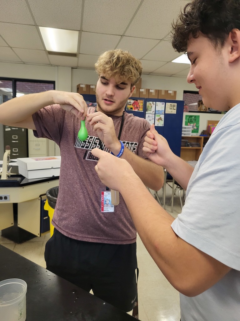 AP Biology students conduct ensyme lab.