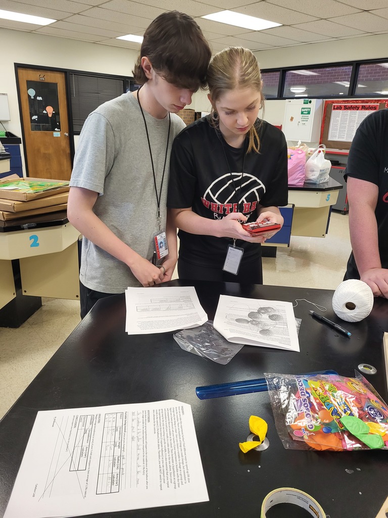 AP Biology students conduct ensyme lab.