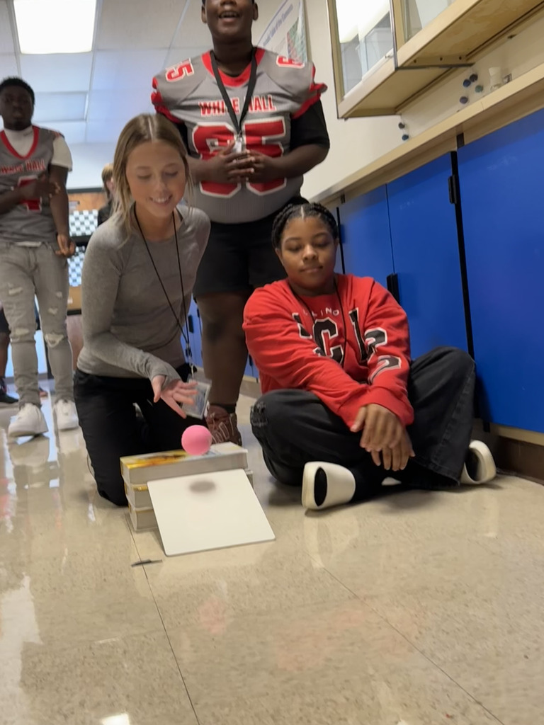 Acceleration & Velocity Lab