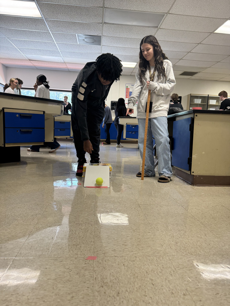Acceleration & Velocity Lab