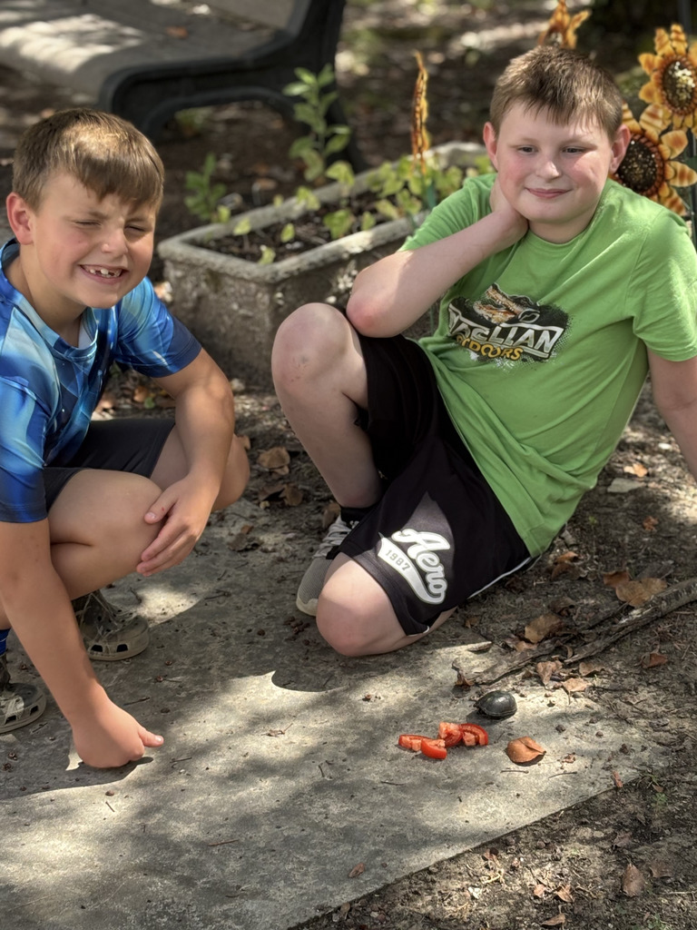 Students feeding turtle