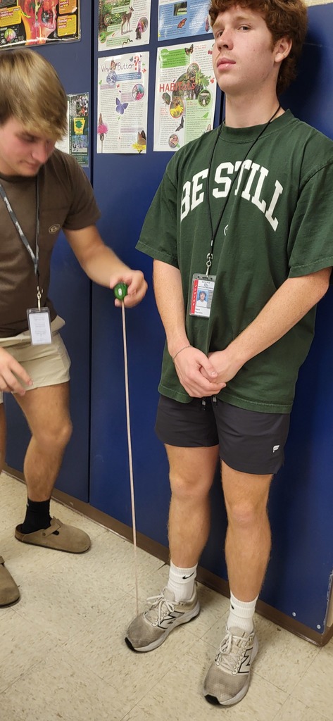Mrs. Henslee's Anatomy class is measuring femurs and estimating heights.
