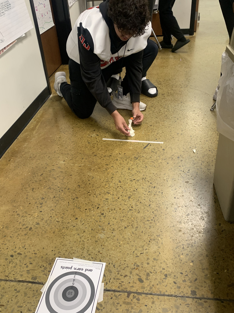 Physical Science catapults