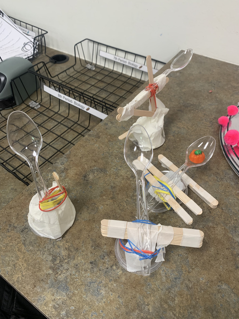 Physical Science catapults