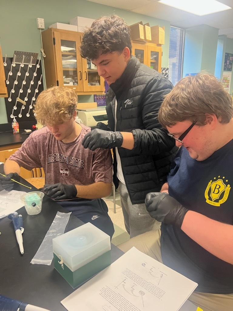 pGlo Lab in AP Biology