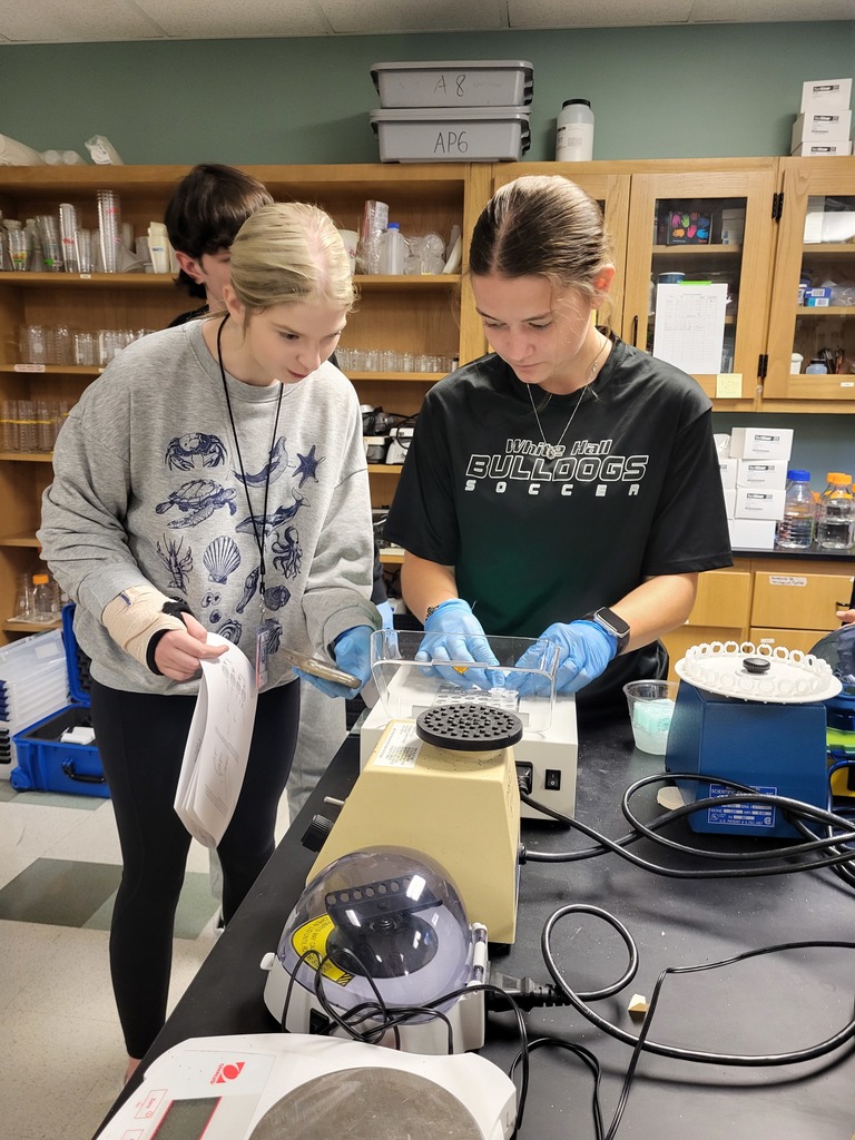 pGlo Lab in AP Biology