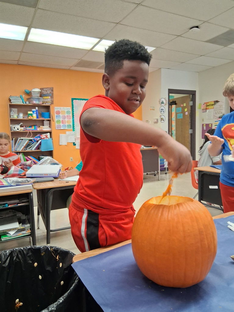 Learning about the life cycle