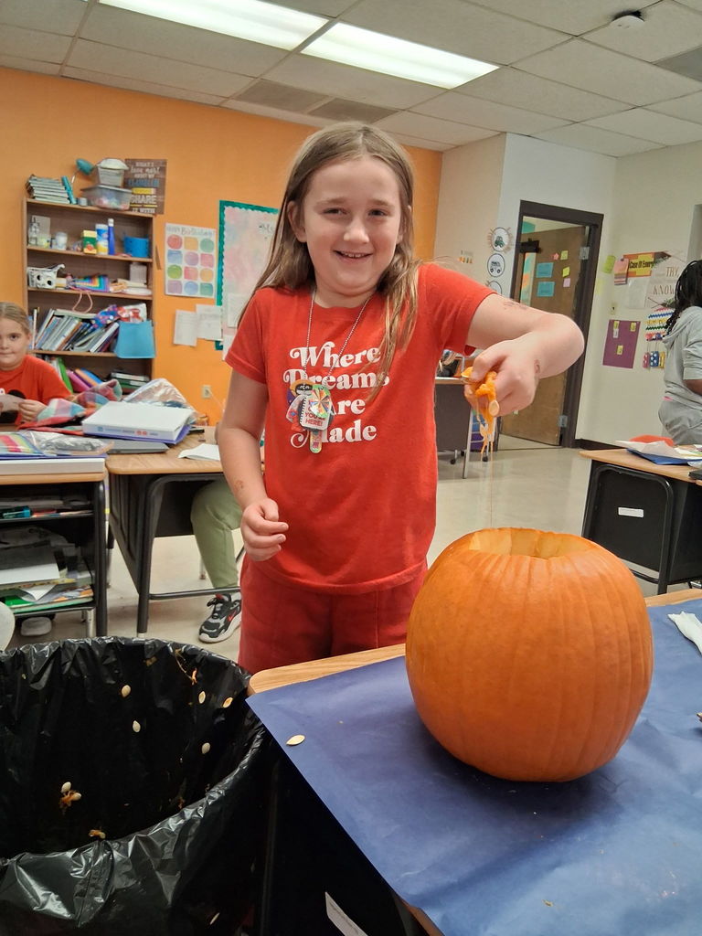 Learning about the life cycle