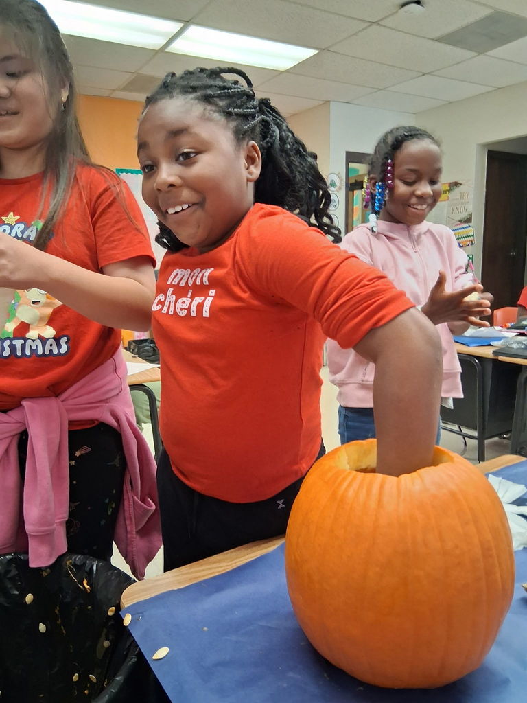 Learning about the life cycle