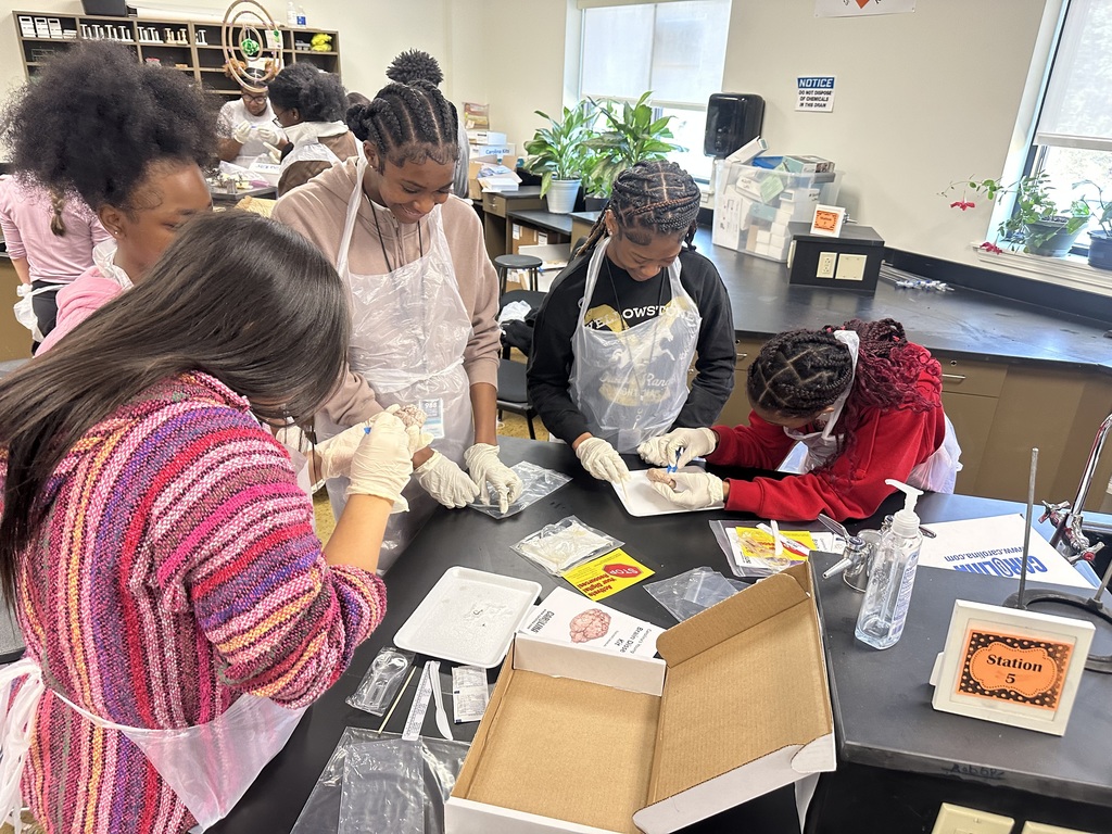 WHHS students were introduced to various areas in the Healthcare Field.