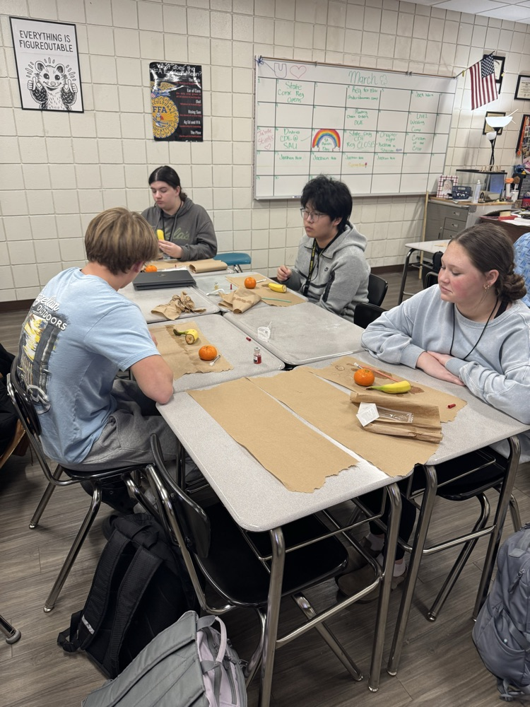 Mr. Donnelly leads his Introduction to Agriculture classes in an innovative lesson.