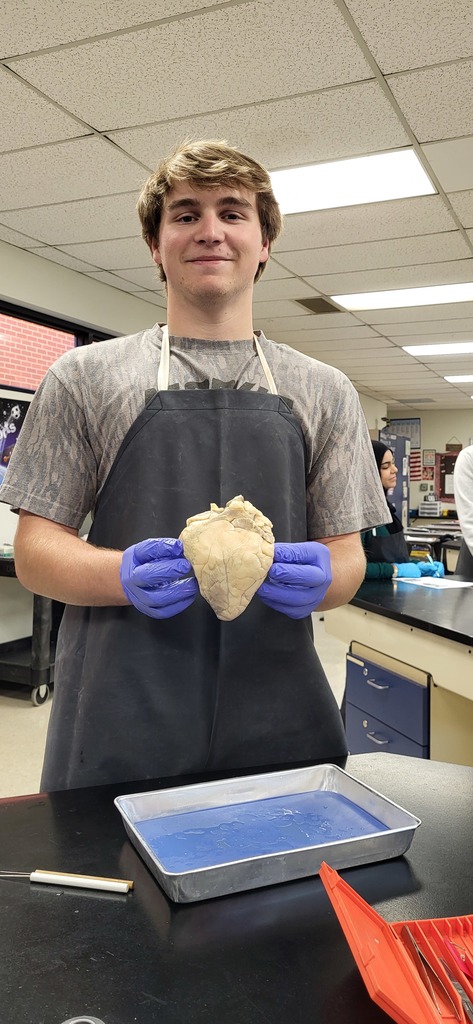  Mrs. Henslee's anatomy class completed a sheep heart dissection.