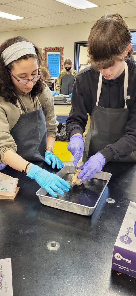  Mrs. Henslee's anatomy class completed a sheep heart dissection.