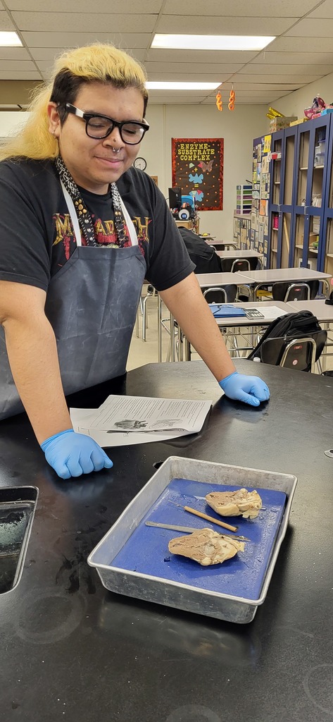  Mrs. Henslee's anatomy class completed a sheep heart dissection.