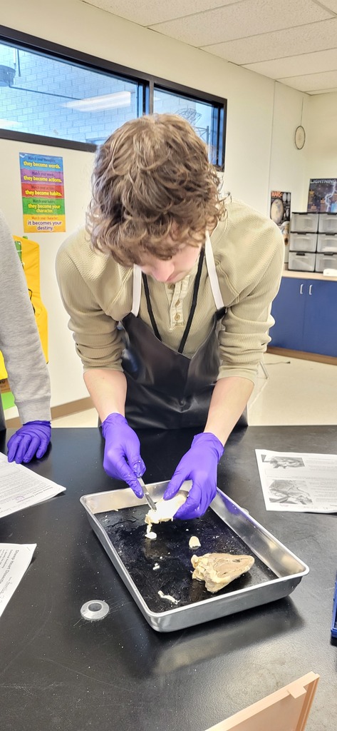 Mrs. Henslee's anatomy class completed a sheep heart dissection.