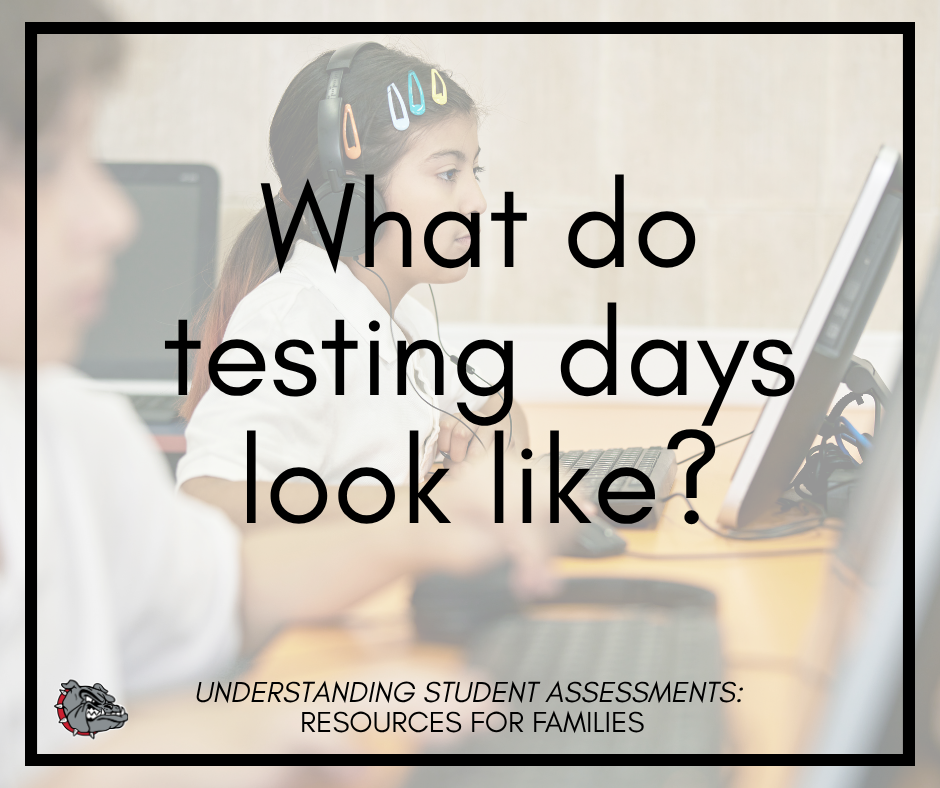 What do testing days look like?