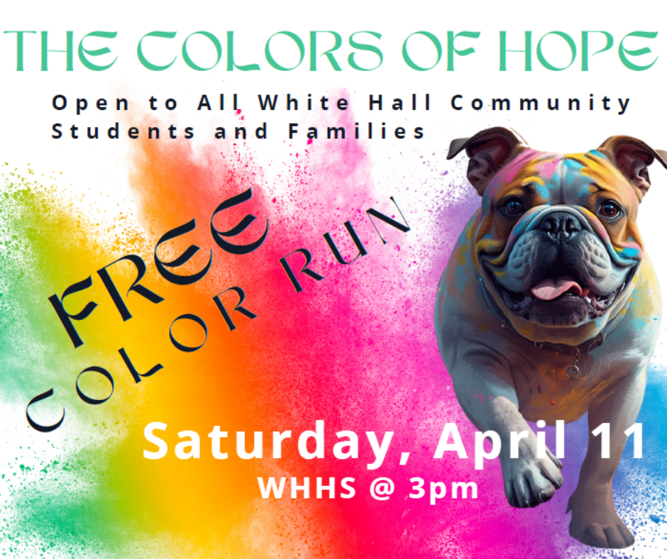 Color Run Flier