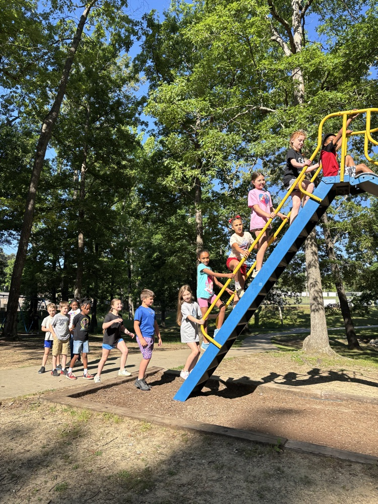 second grade field trip 