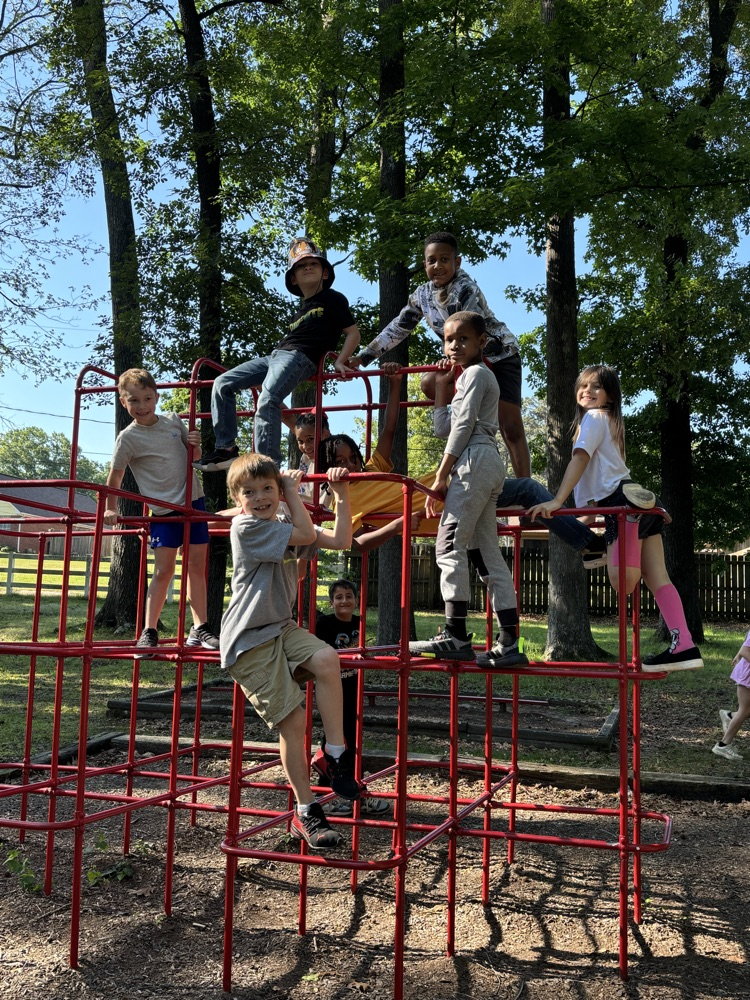 second grade field trip 