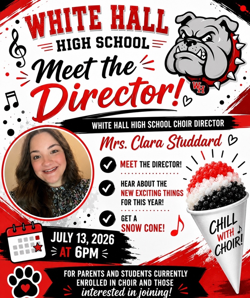 Meet the Director