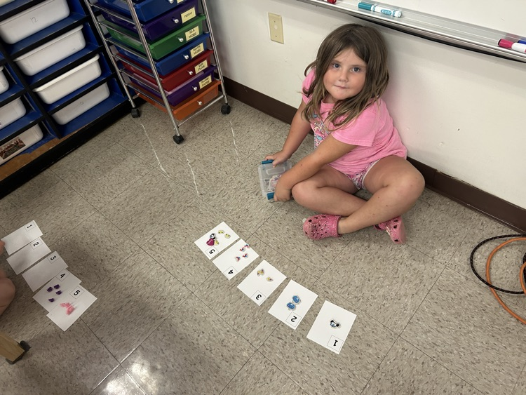 Junk box counting 