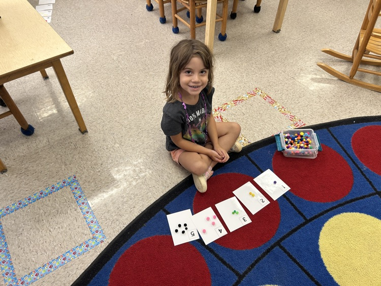 Junk box counting 