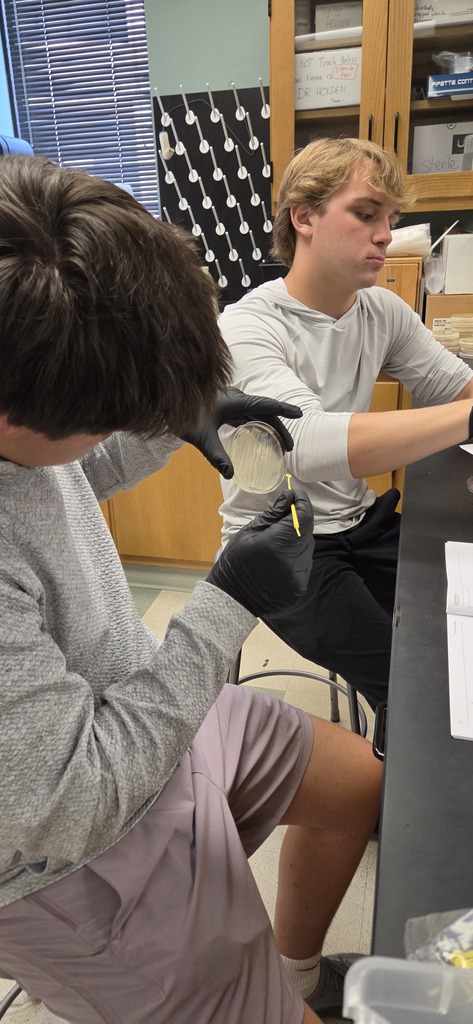 AP Biology students visited ASMSA to conduct experiments.