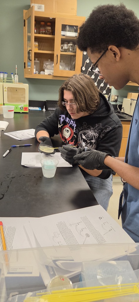 AP Biology students visited ASMSA to conduct experiments.