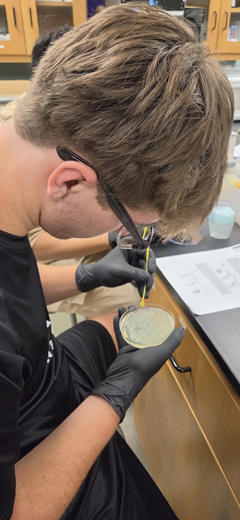 AP Biology students visited ASMSA to conduct experiments.