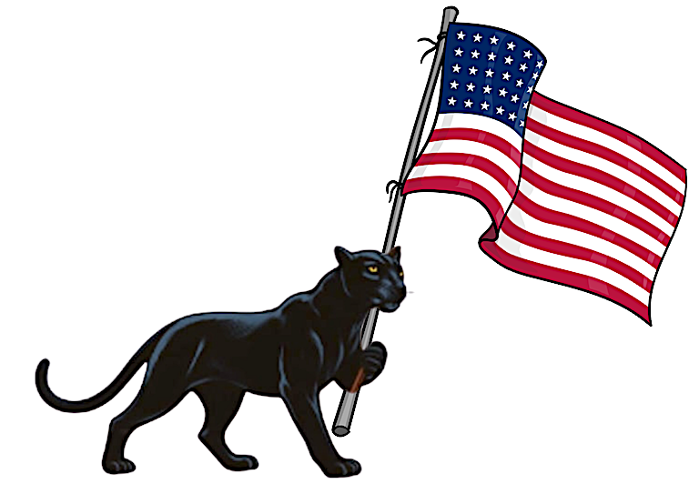 Panther w Flag