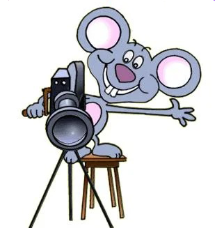 Say Cheese