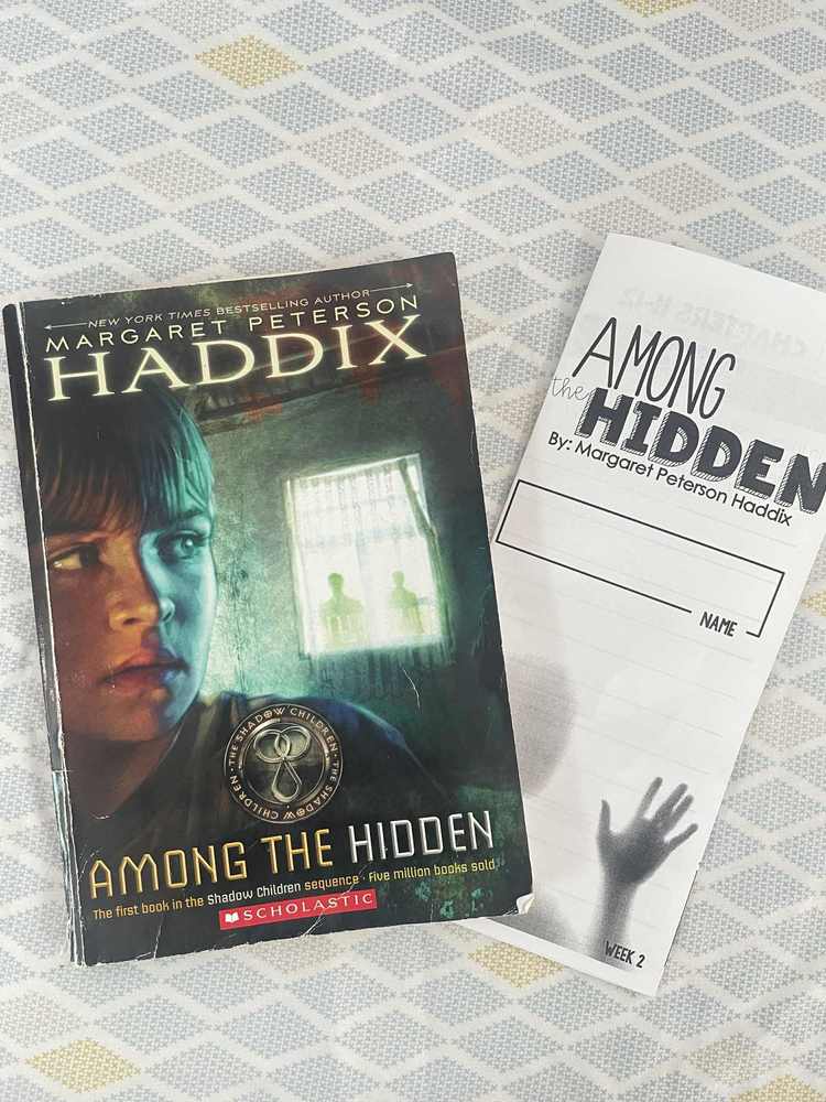 Among the Hidden Book