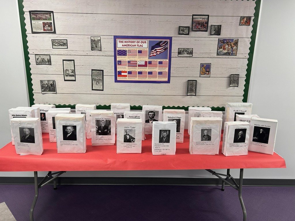Here is a picture of their President's Day boxes displayed!