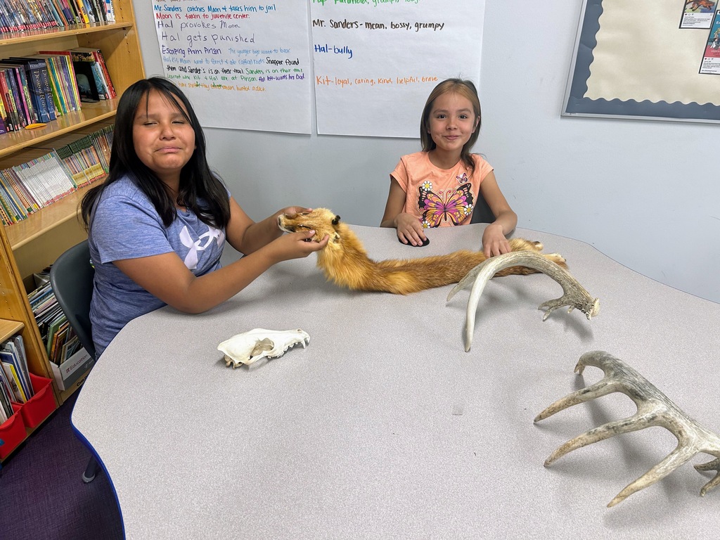 Coyote Skull, antlers, and furs
