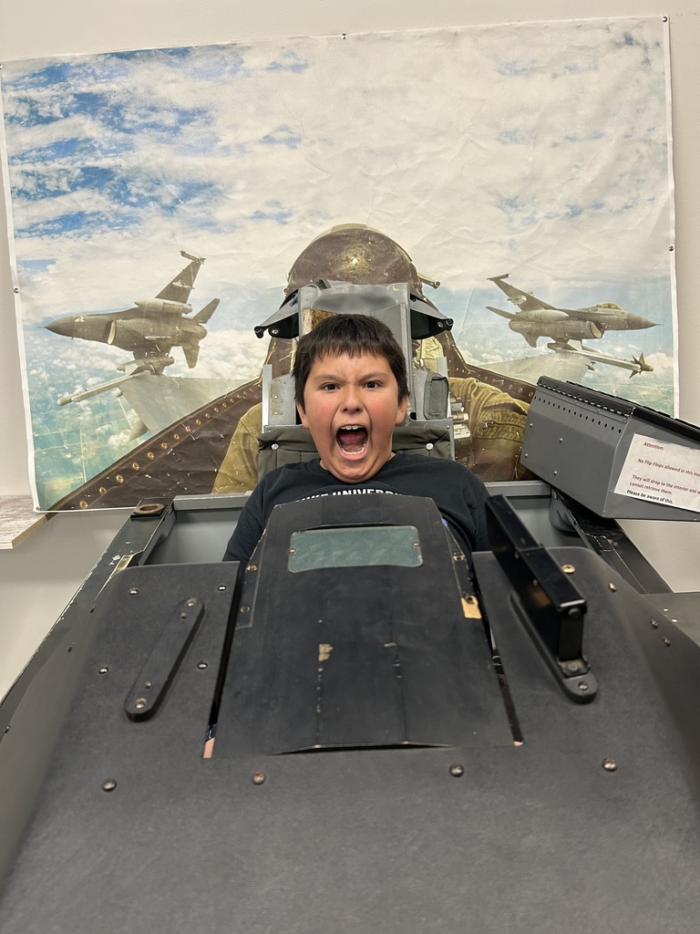 Aircraft simulation