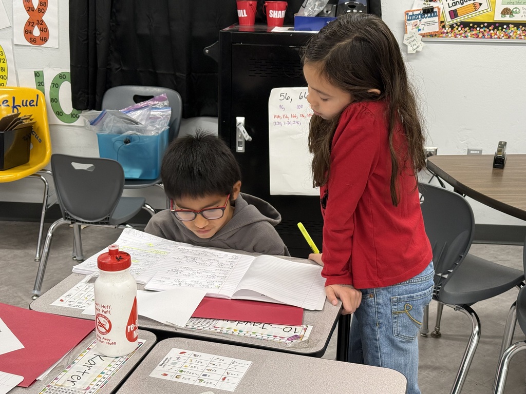 3rd graders revising