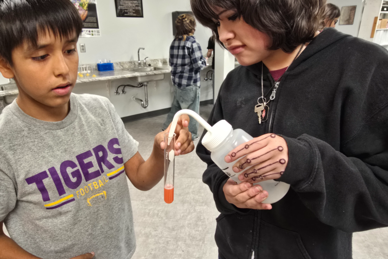 students extracting DNA