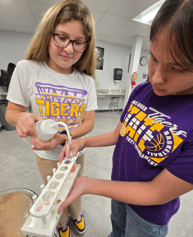 students extracting DNA