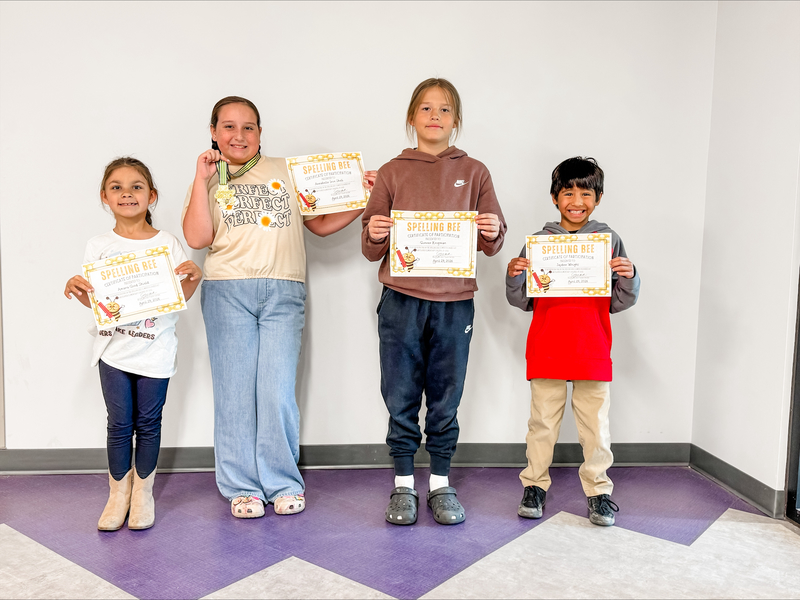 bee winners