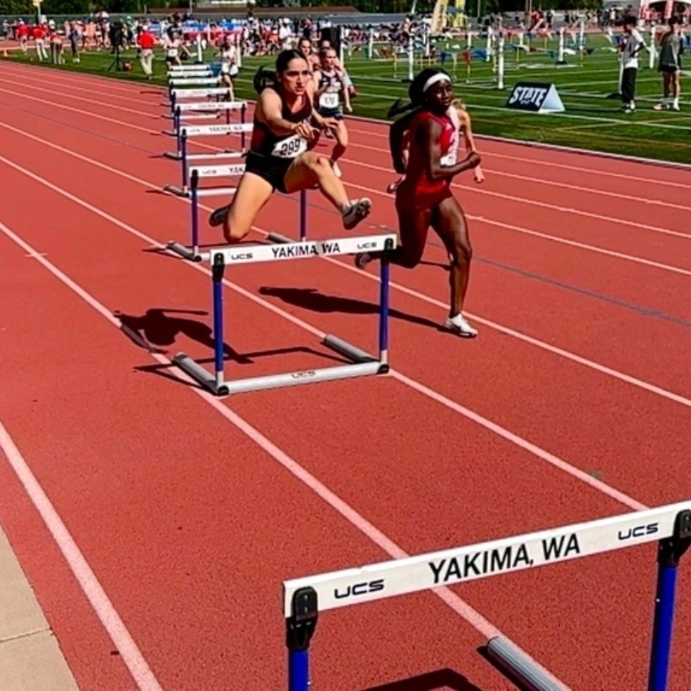 Hurdles 