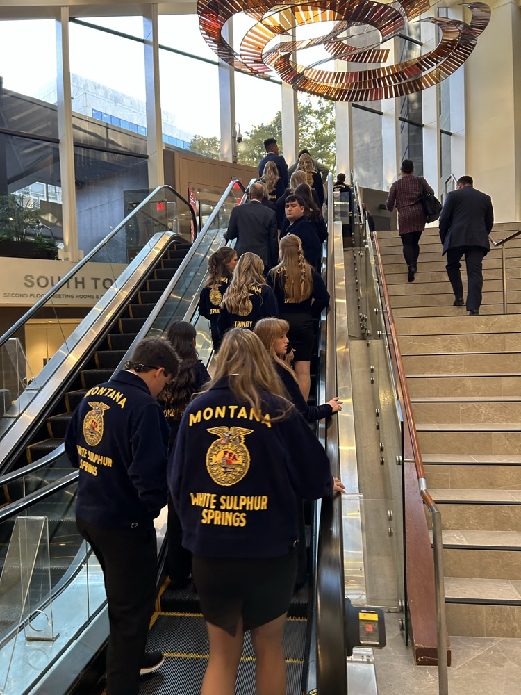 escalator