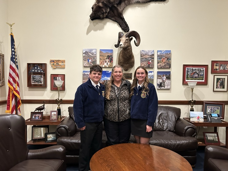 senator Daines office