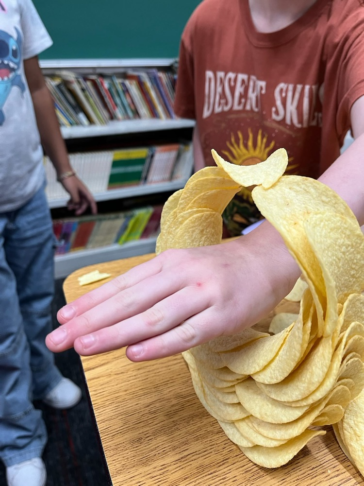 5th grade Pringles challenge
