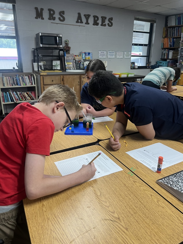 6th science