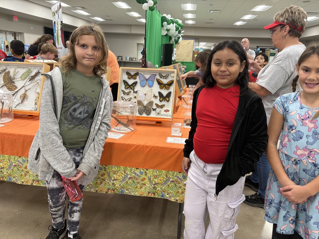 4th grade fair