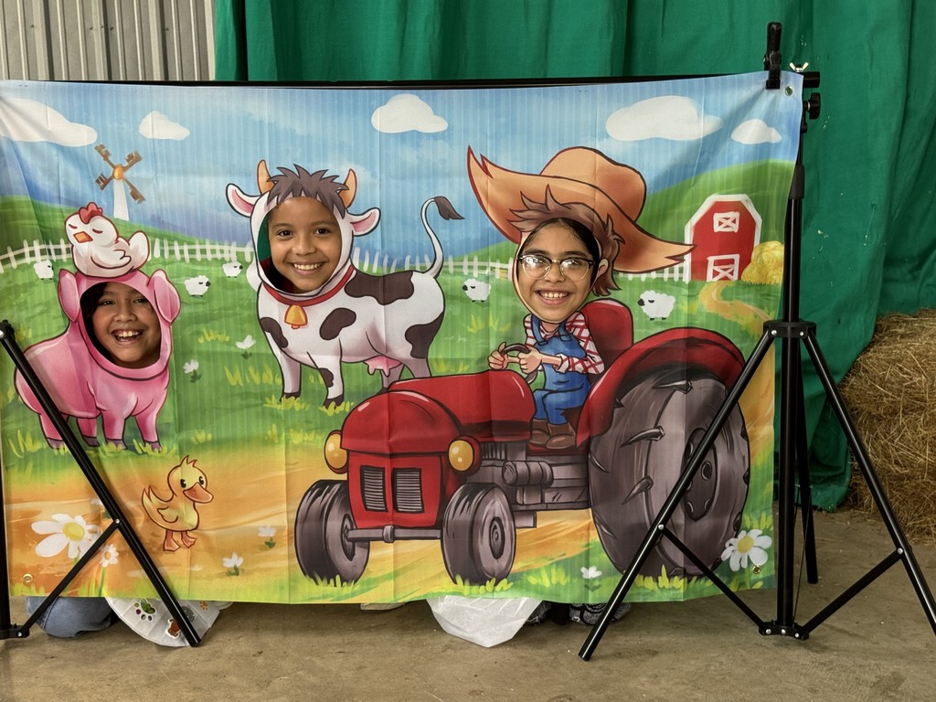 County Fair