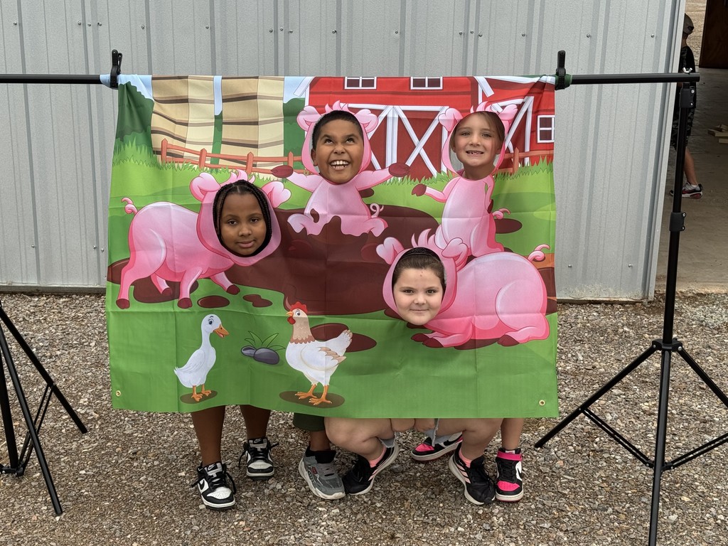 County Fair