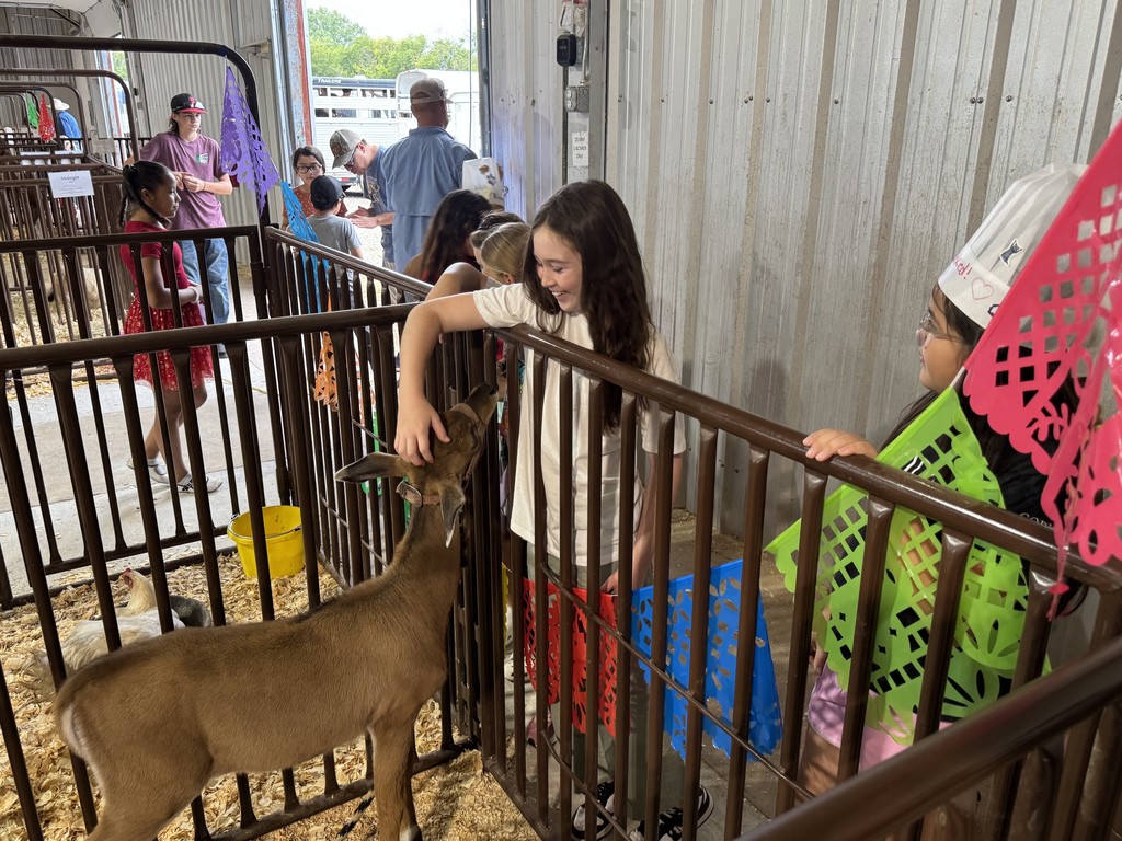 County Fair