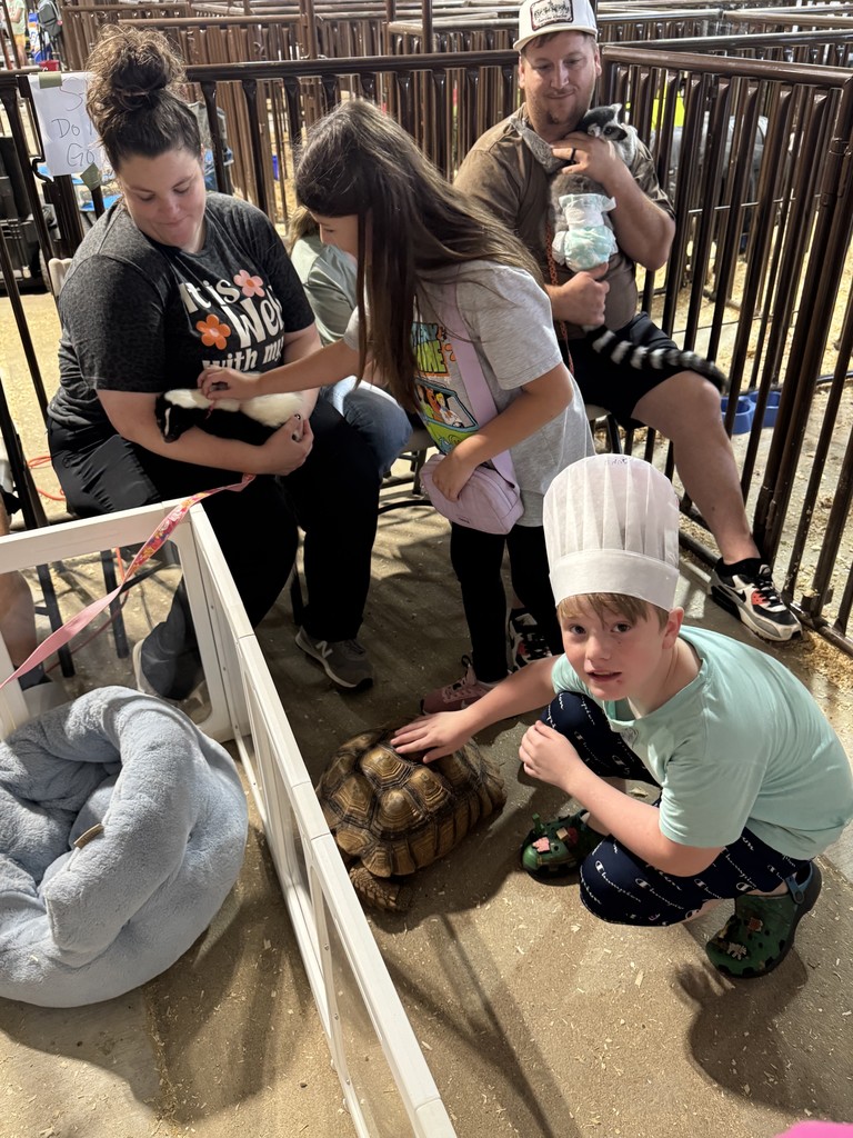 County Fair